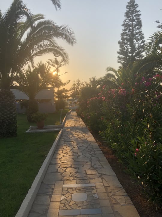 Gartenanlage Iberostar Selection Creta Marine