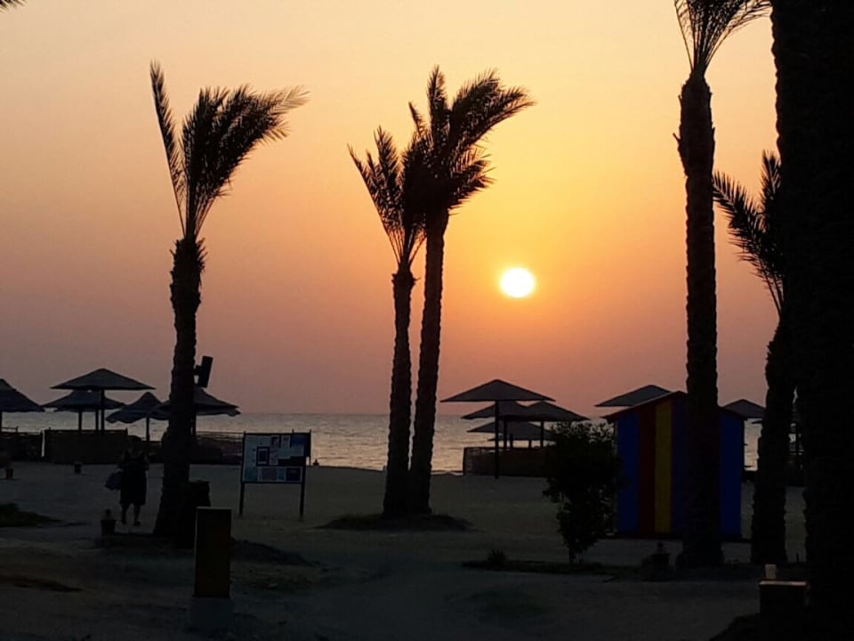 Strand Pickalbatros Sands Hotel - Port Ghalib