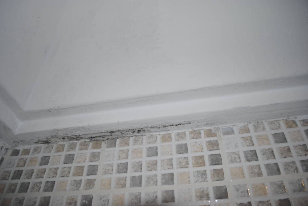 Haare, Schimmel, Dreck, Staub u.s.w. Grand Yazici Club Marmaris Palace