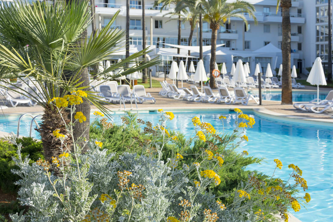 Pool Protur Vista Badia Aparthotel