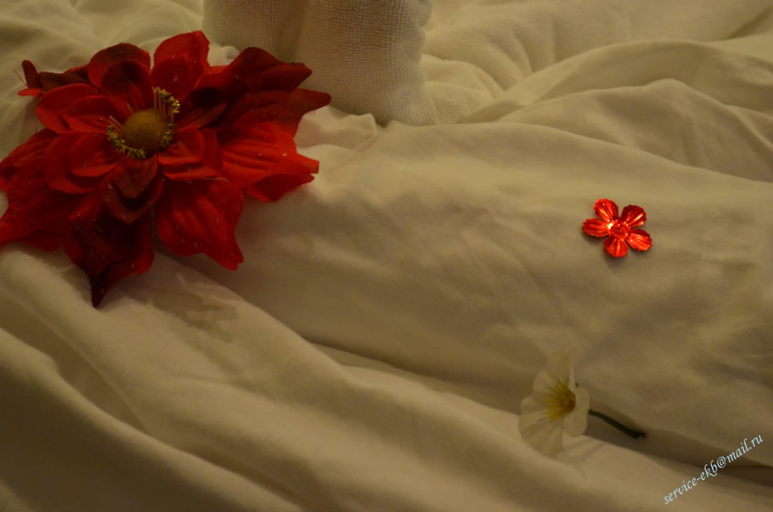 Delphin Imperial Hotel Delphin Imperial