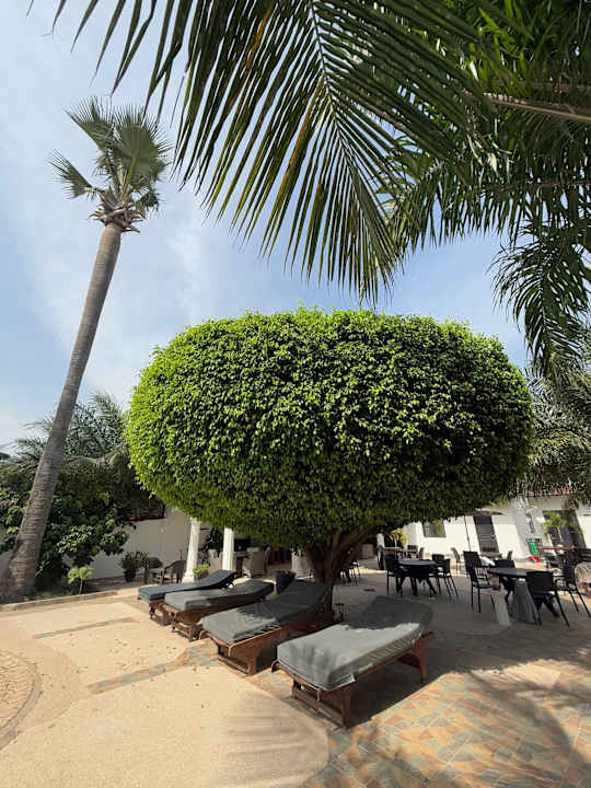 Gartenanlage Dulaa Deema Residence Brufut Heights