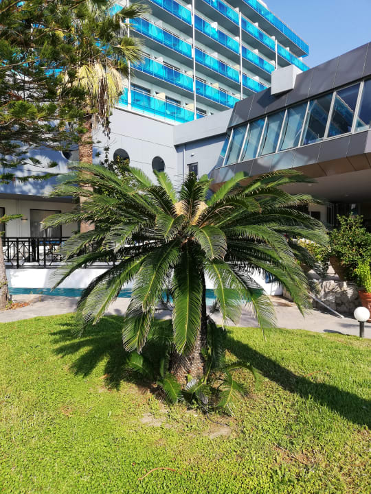 Gartenanlage Hotel Calypso Beach