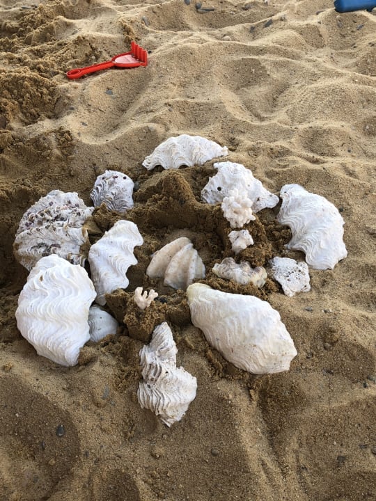 Strand Lazuli Hotel Marsa Alam