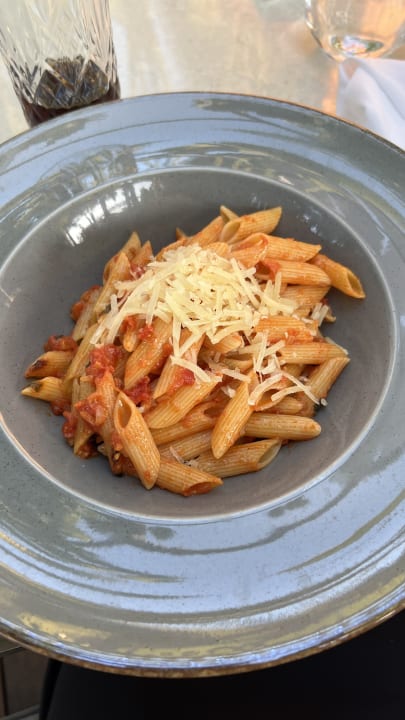 Gastro Acanthus Cennet Barut Collection