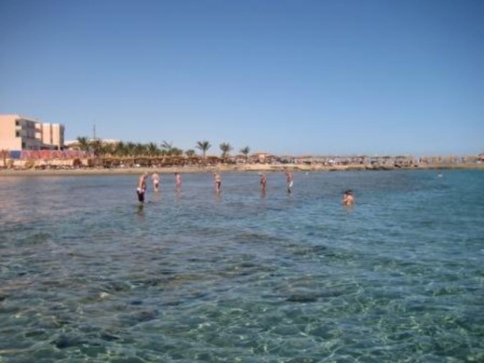 Strand Pickalbatros Palace Resort
