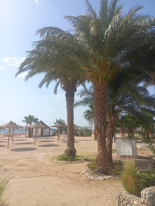 Strand Imperial Shams Abu Soma