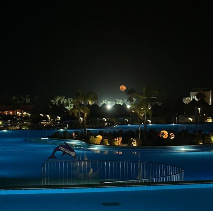 Pool Pickalbatros Laguna Vista Hotel