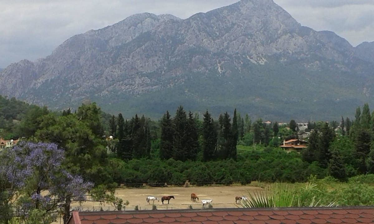 Blick vom Balkon Hotel Berke Ranch & Nature