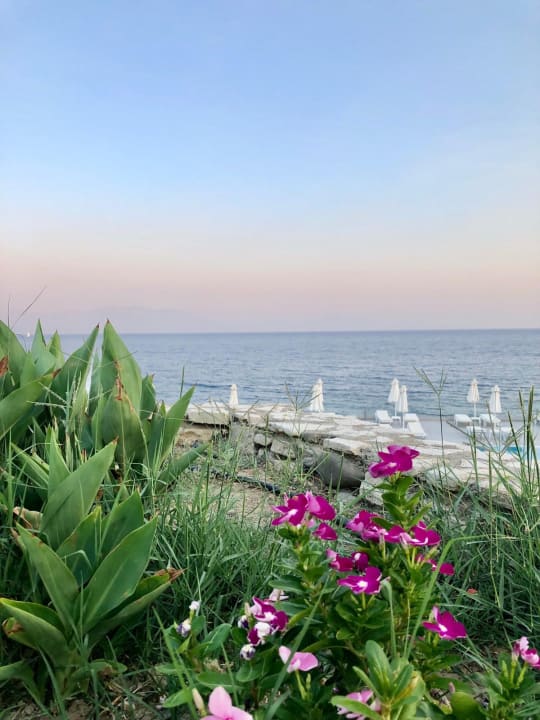 Strand Dimitra Beach Hotel & Suites