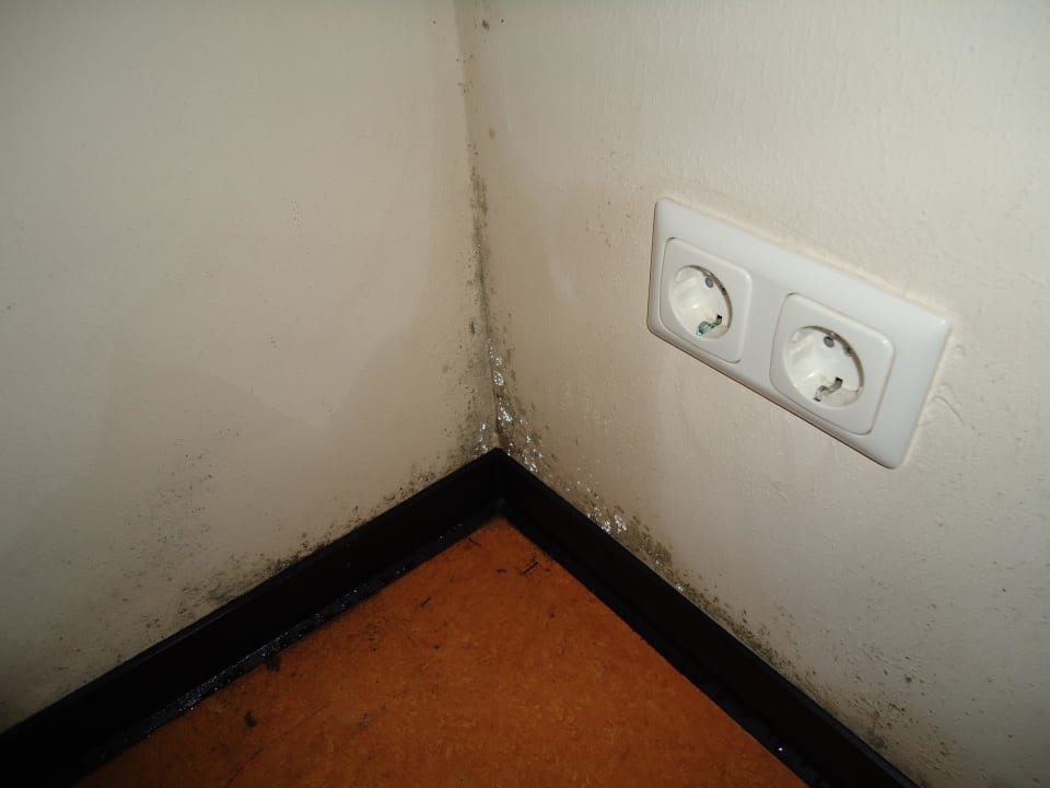 Gesundheitsgefährdend Hotel Carpe Diem