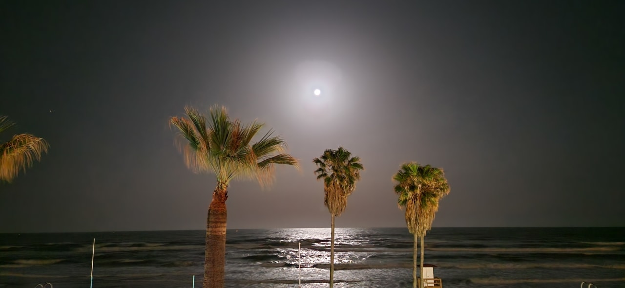 Ausblick Hotel Riu Nautilus - Adults only