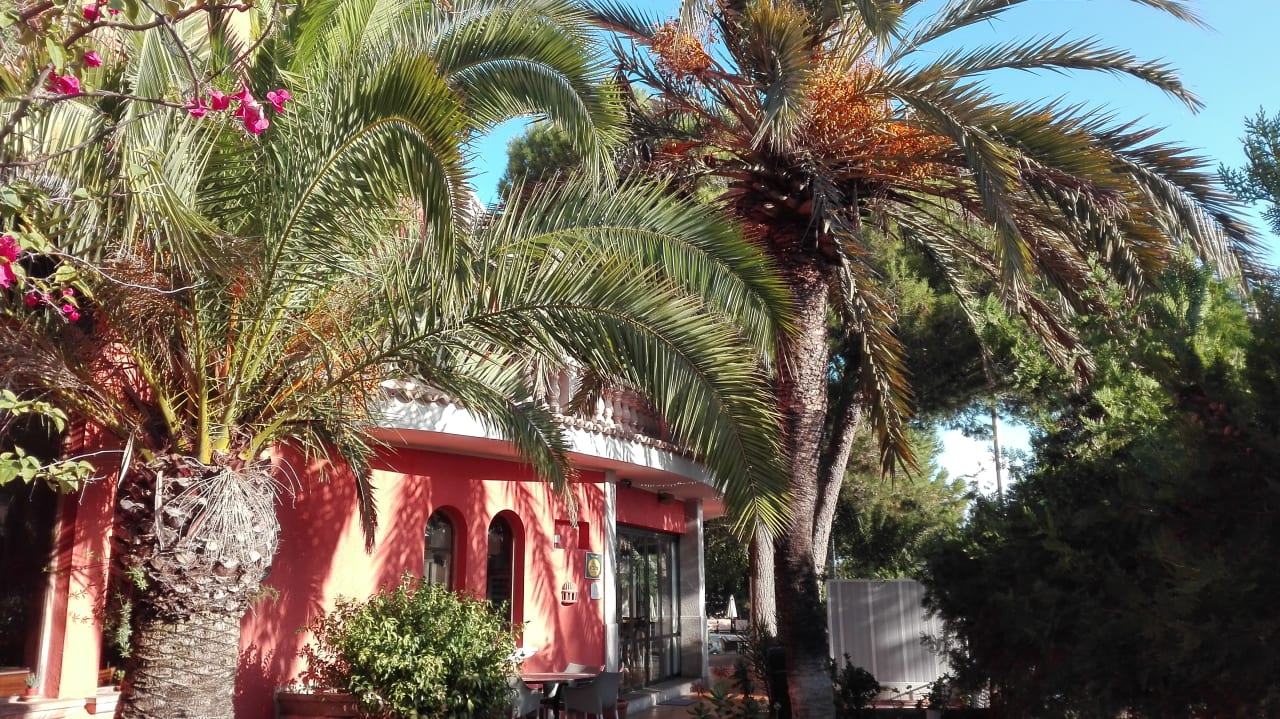 Außenansicht Es Bauló Petit Hotel