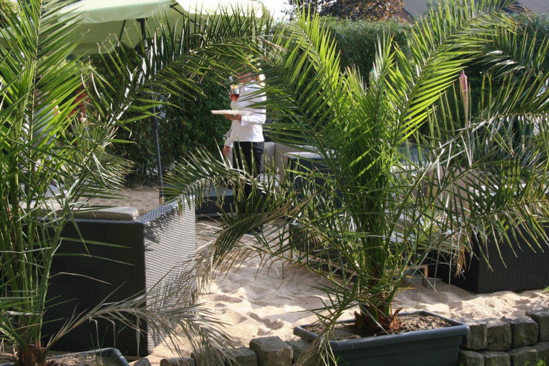 Unsere Sandlounge Hotel Dampfmühle