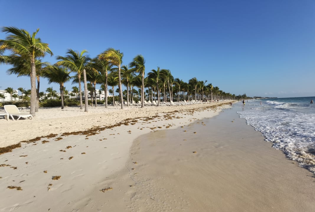 Strand Hotel Riu Dunamar