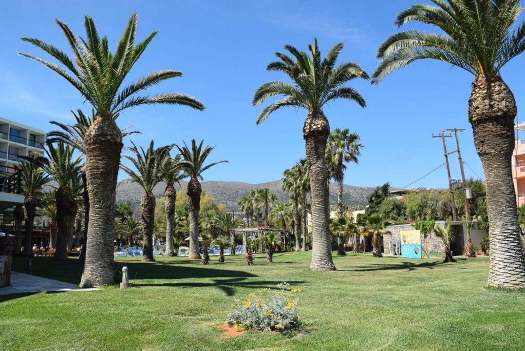 Sehr gepflegt Calimera Sirens Beach
