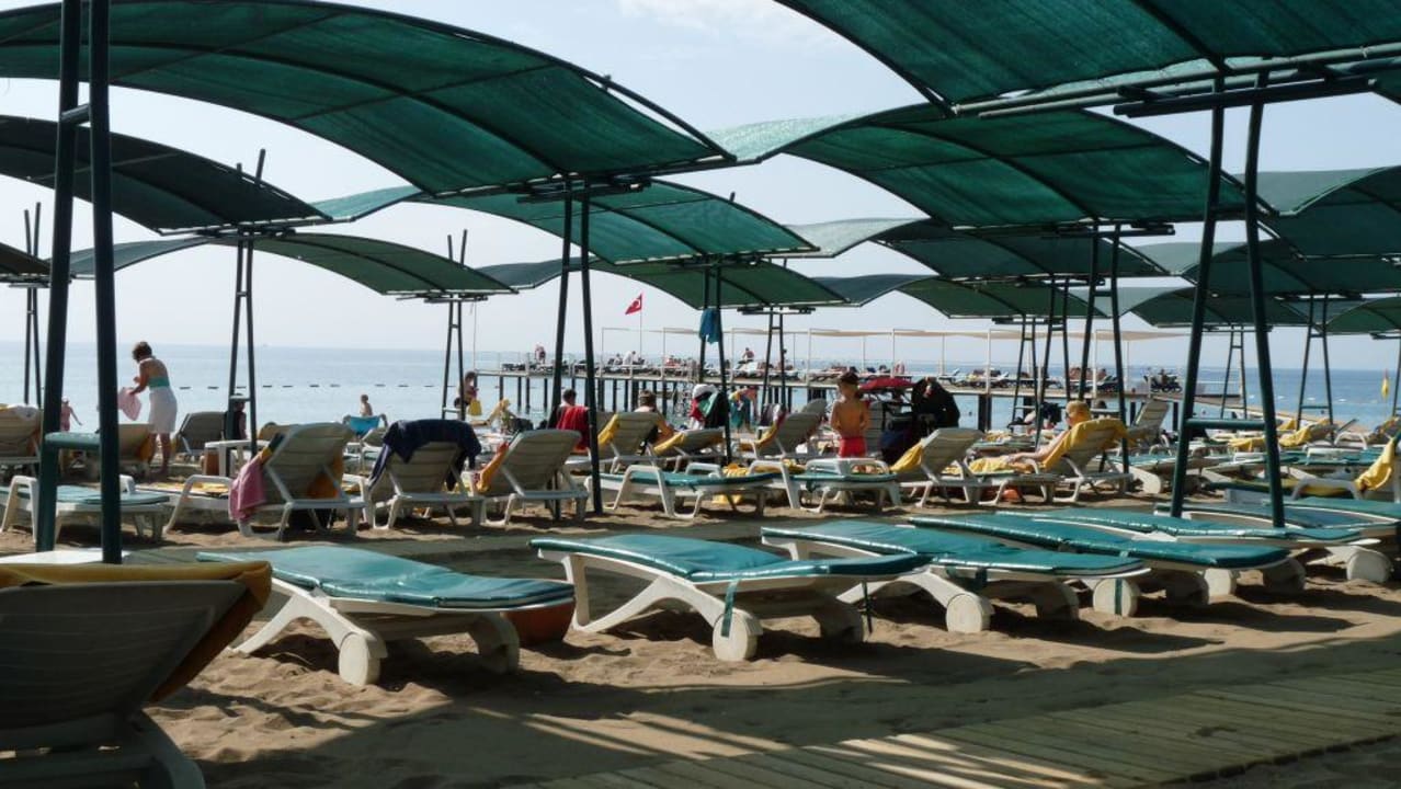 Strand Papillon Ayscha