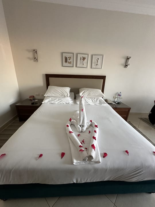 Zimmer Jaz Soma Beach