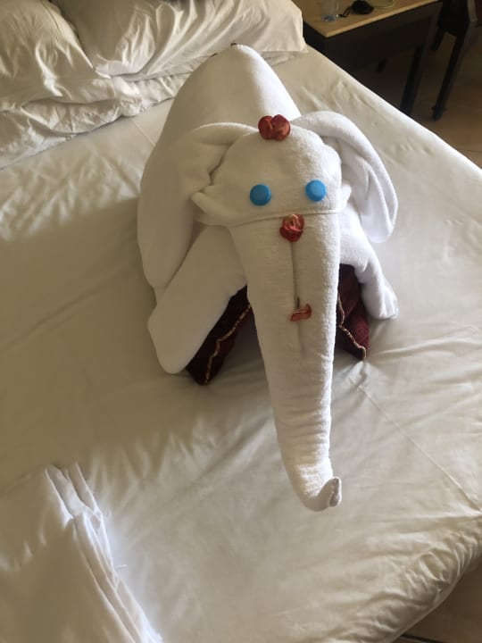 Sonstiges Jaz Solaya