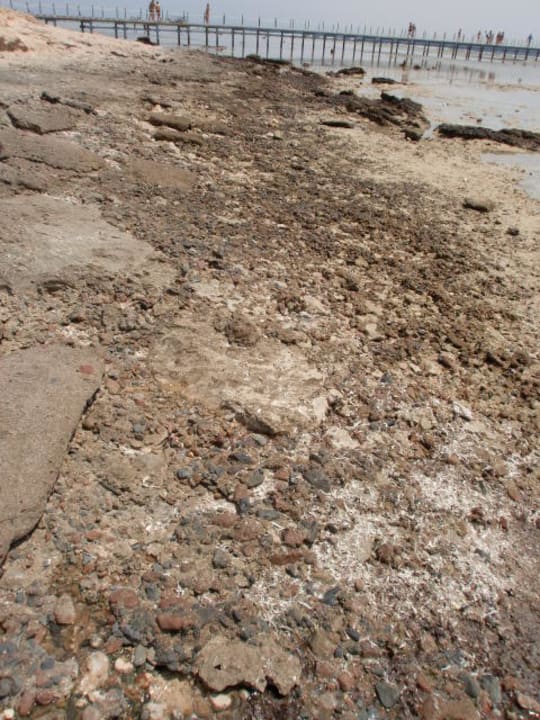 Der angepriesene Hotelstrand Hotel Nubian Village