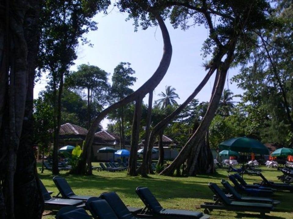 Merlin Liegewiese Khao Lak Merlin Resort
