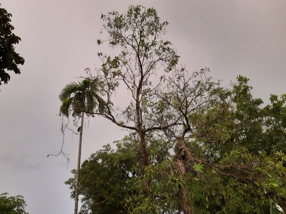 Sonstiges The Leaf on The Sands by Katathani