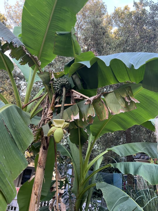 Gartenanlage Camping Brioni