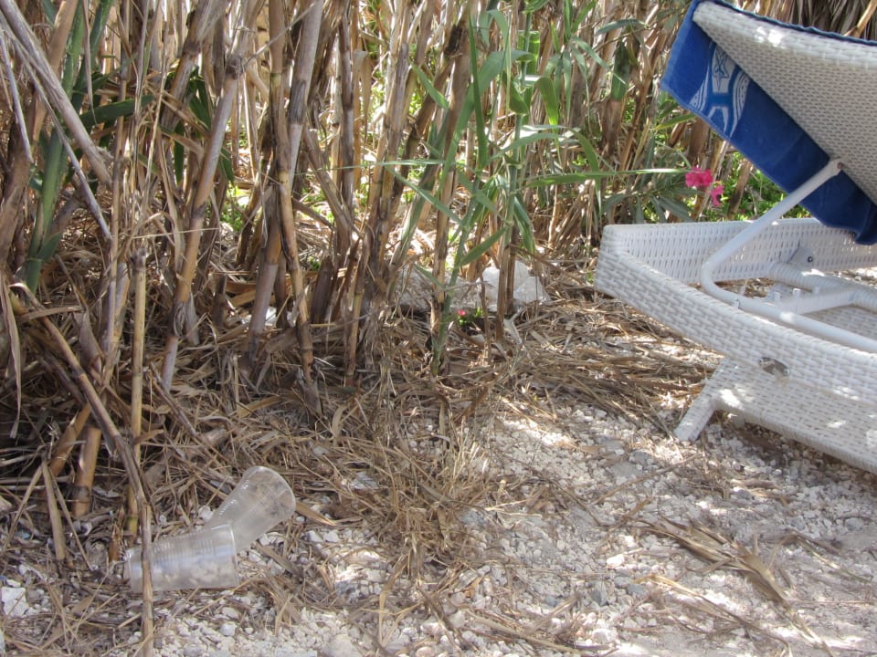 Hola-Beach zum Wohlfühlen Riviera Spa Resort - Adults Only