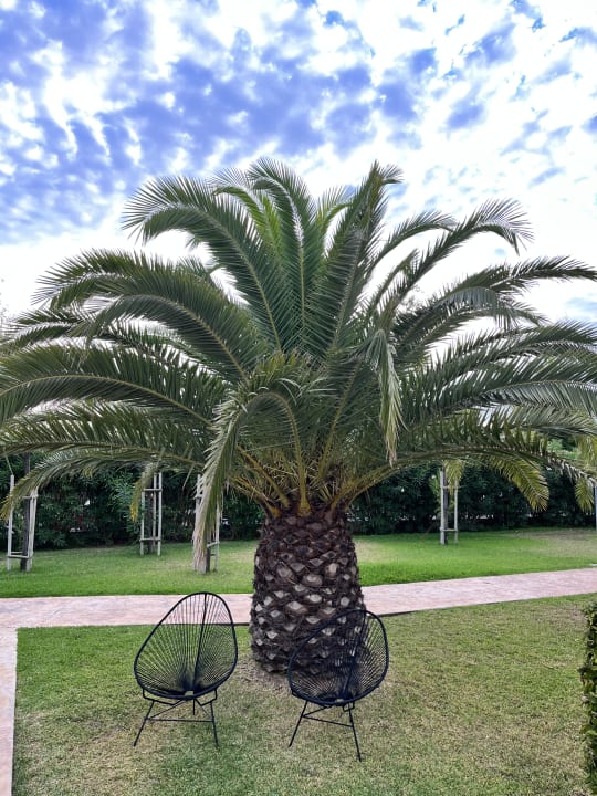 Gartenanlage Prinsotel La Dorada