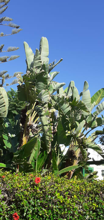 Ausblick Bungalows Cordial Sandy Golf
