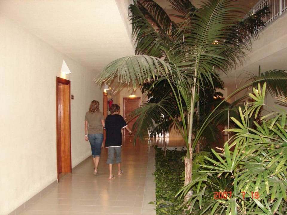 In Häuserblock 2  Playa Garden Selection Hotel & Spa