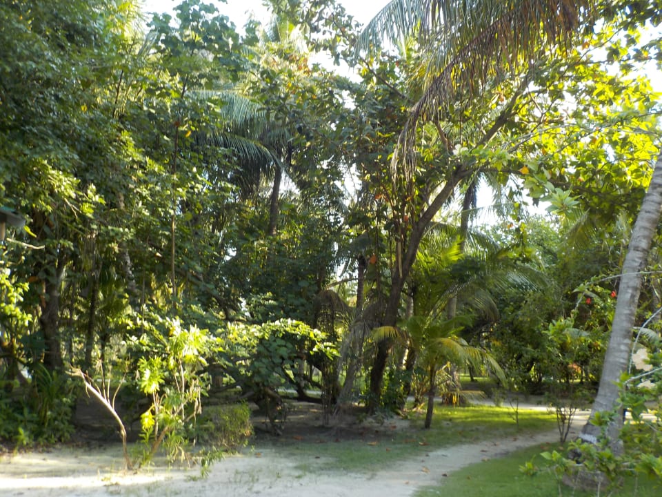 Gartenanlage Adaaran Select Hudhuran Fushi - Premium All Inclusive