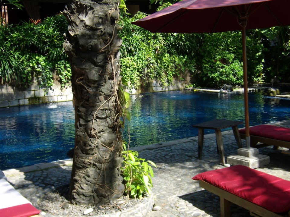 Pool Hotel Tugu Bali