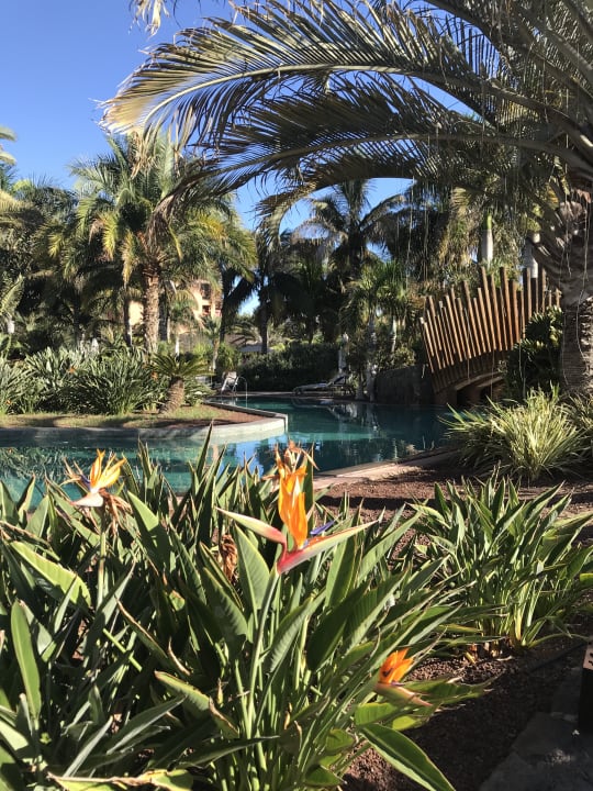 Pool Lopesan Baobab Resort