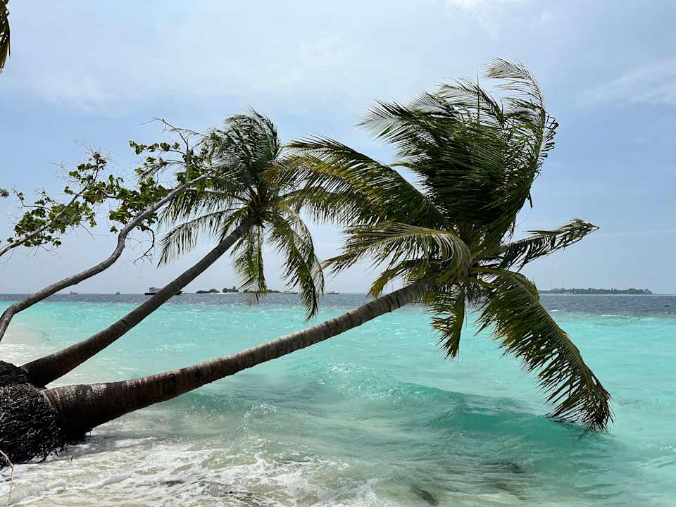 Außenansicht Vilamendhoo Island Resort & Spa