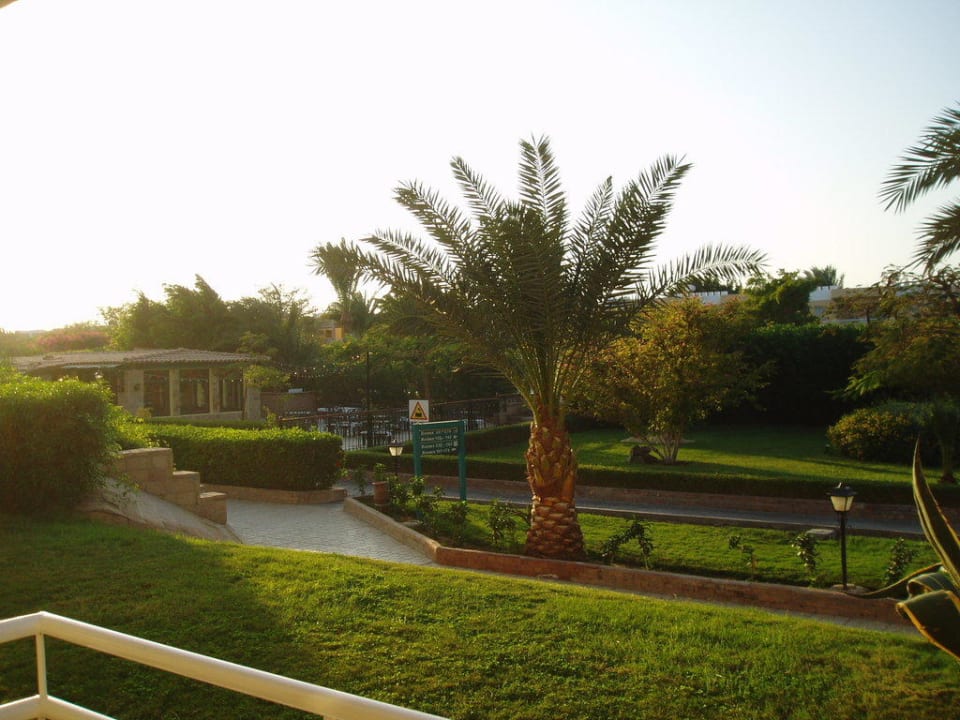 Von unserem Zimmer aus Golden Beach Resort