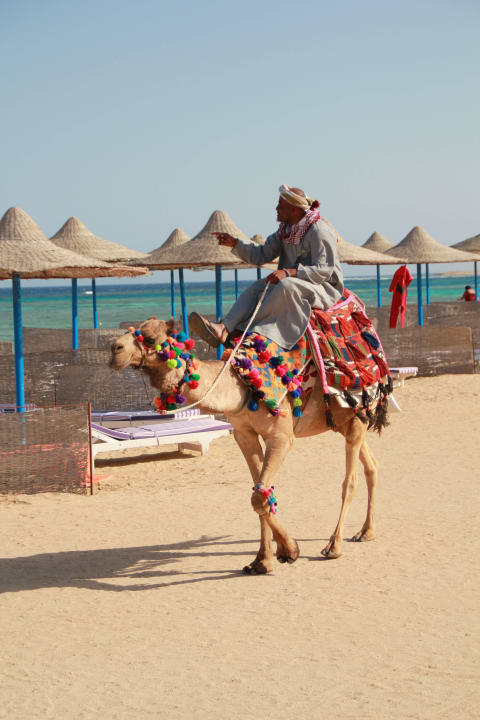 Spaziergang Fantazia Resort Marsa Alam