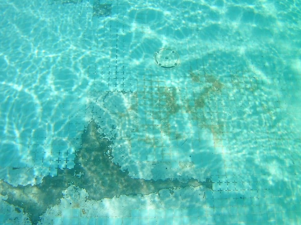 Pool Makadi Spa - Adults only