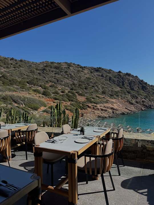 Gastro DAIOS COVE