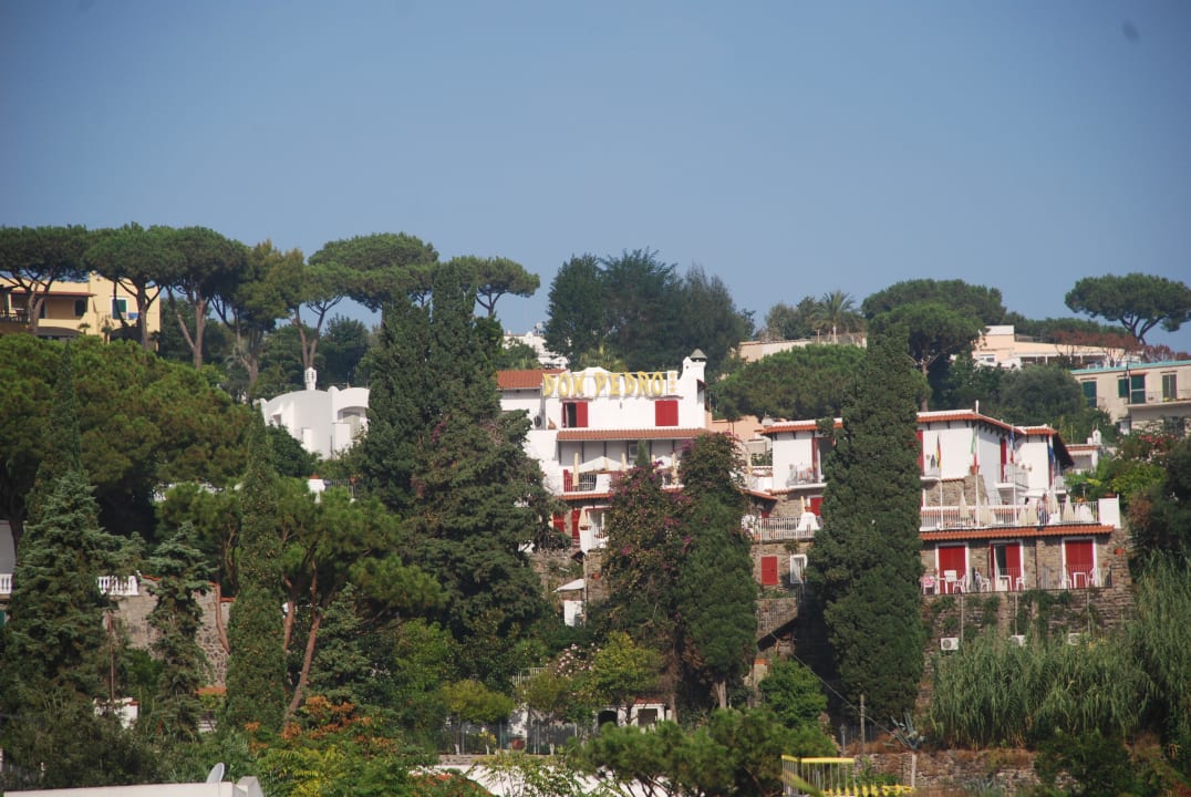 Blick vom Hafen zum Hotel Hotel Don Pedro