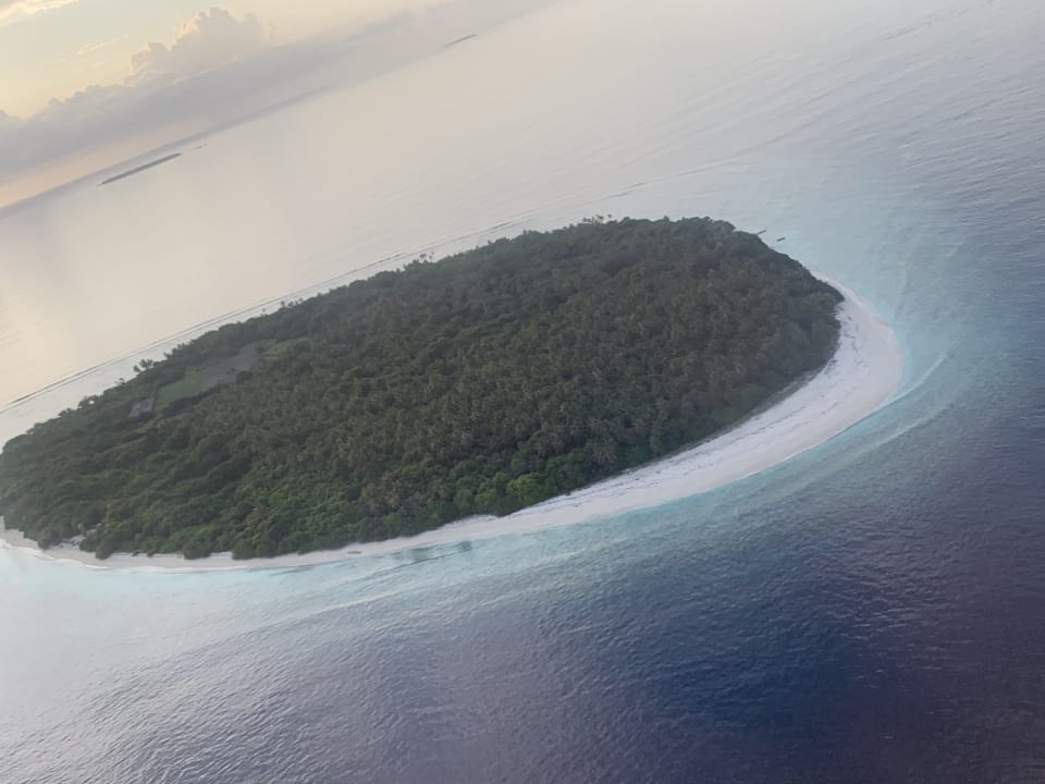 Sonstiges ROBINSON NOONU