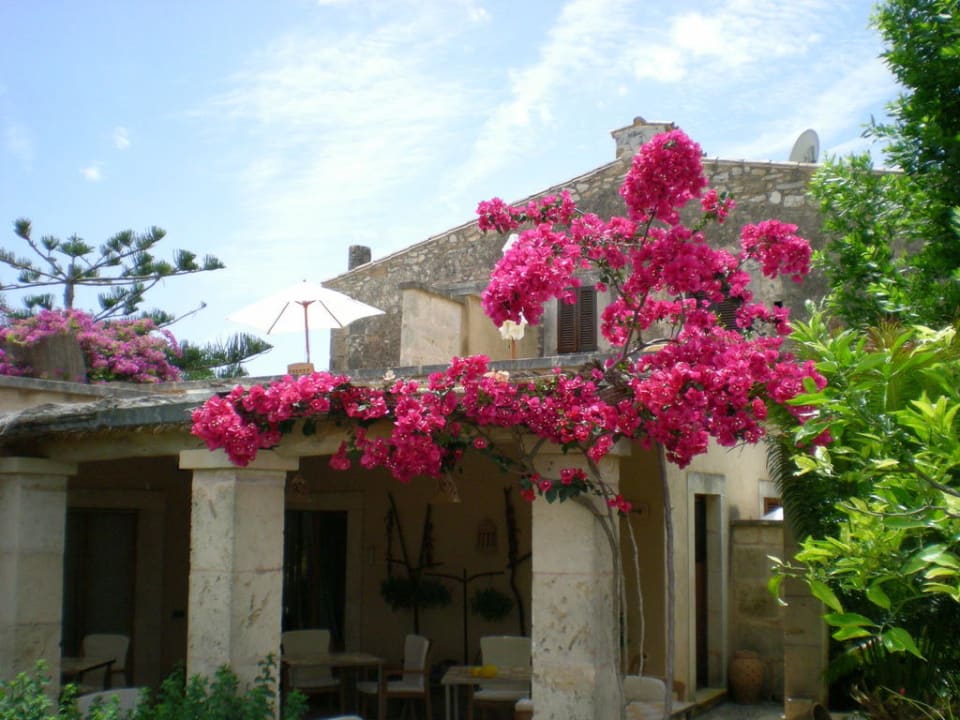 Blumenschmuck Finca Sa Carrotja - Adults only