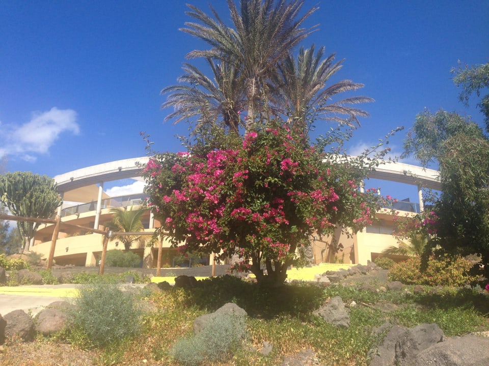 Ansicht vom Strand Iberostar Selection Fuerteventura Palace