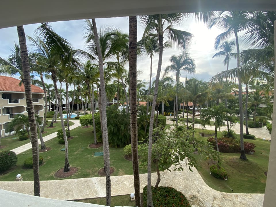 Ausblick Jewel Palm Beach