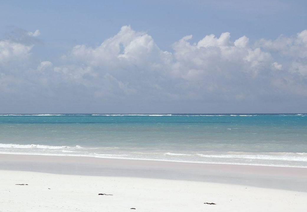 Strand vor dem Neptun Paradise Neptune Paradise Beach Resort & Spa