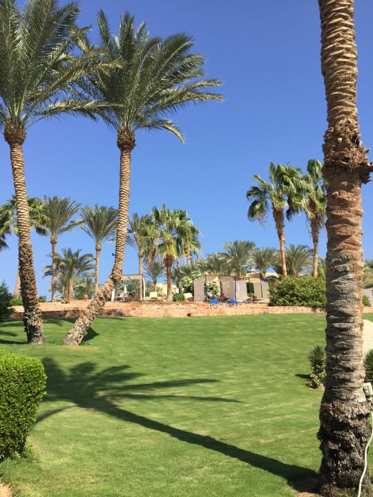 Gartenanlage Steigenberger Coraya Beach - Adults only