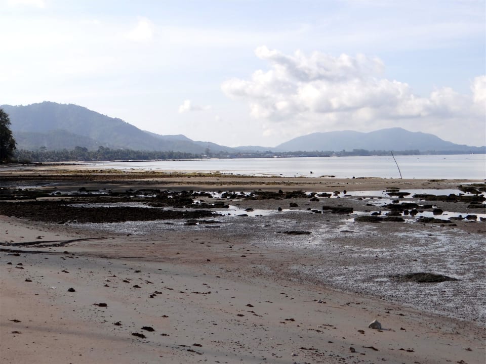 Ebbe Hotel Mai Samui Beach Resort & Spa