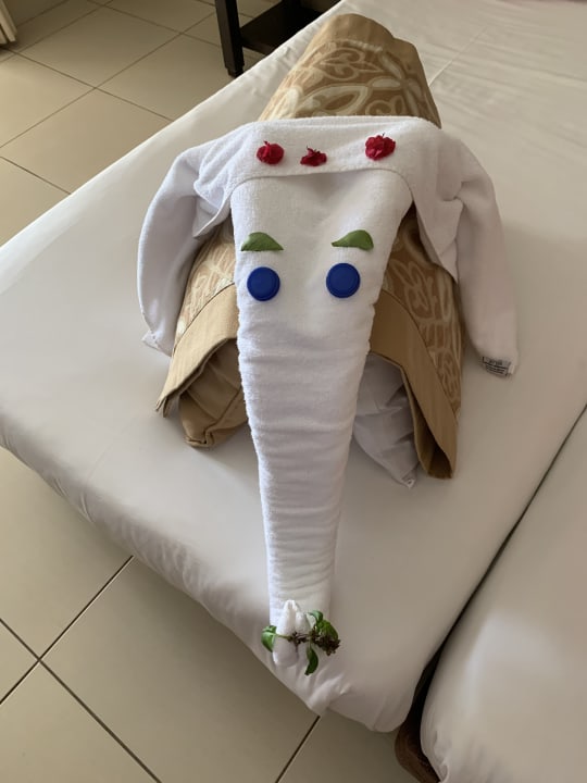 Zimmer Jaz Dar EL Madina