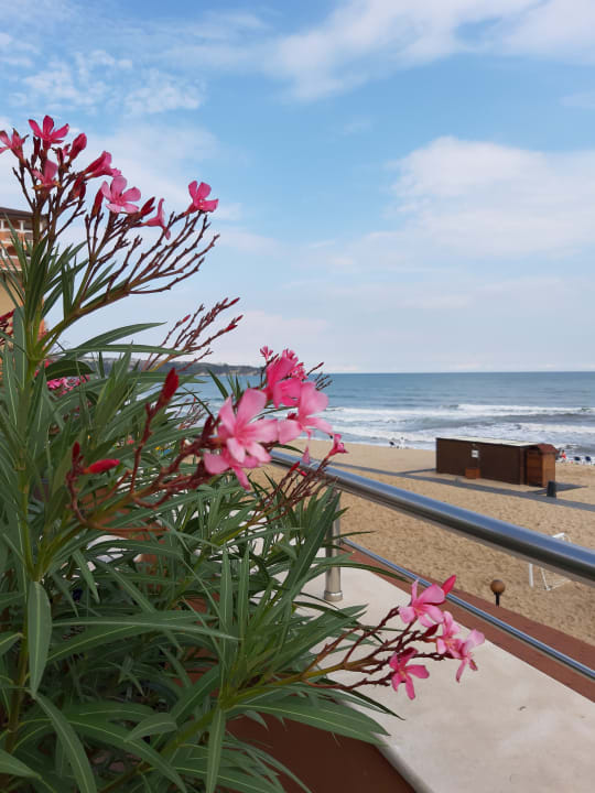 Ausblick Sol Luna Bay