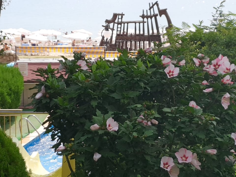 Gartenanlage Vemara Beach